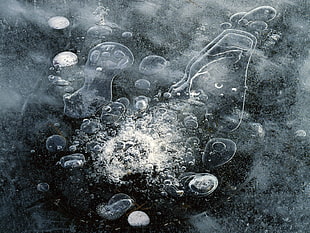 macro photography of bubbles
