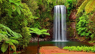 clear waterfall, landscape HD wallpaper