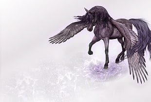 animated illustration of black and gray Unicorn with wings HD wallpaper