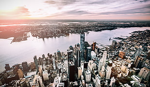assorted high-rise city buildings, landscape, New York City, building, skyscraper