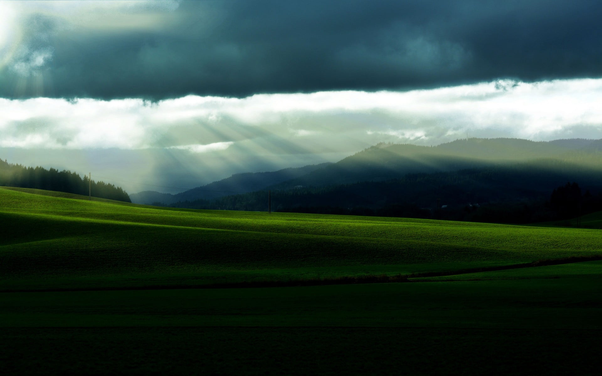 green grass field, landscape, nature