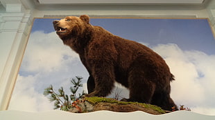brown bear 3D artwork, animals, bears HD wallpaper