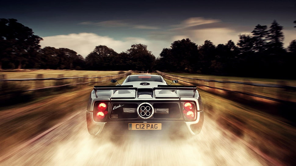 gray sports car, Pagani Zonda, motion blur, Pagani, supercars HD wallpaper