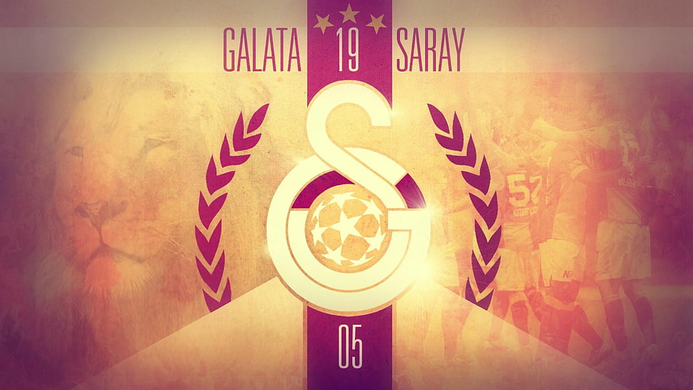 white and pink ceramic plate, Galatasaray S.K., soccer clubs HD wallpaper