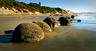 round brown rocks in the sea shore surrounded by mountain, otago HD wallpaper