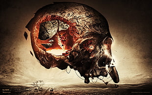 human skull sketch HD wallpaper