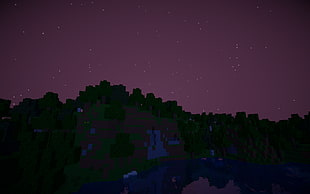 brown and black skies during night time