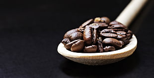 close up photo of coffee beans on brown wooden spoon