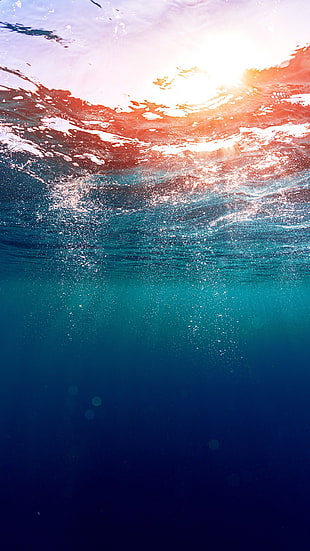 underwater photography of ocean HD wallpaper