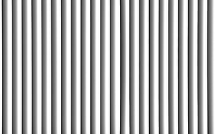 Stripes,  Lines,  Vertical,  Light HD wallpaper