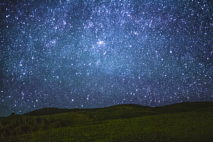 photo of white stars at night
