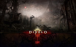 Blizzard Diablo game wallpaper, Diablo III, video games, Blizzard Entertainment