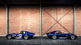 two blue coupes, car, Shelby Cobra Daytona
