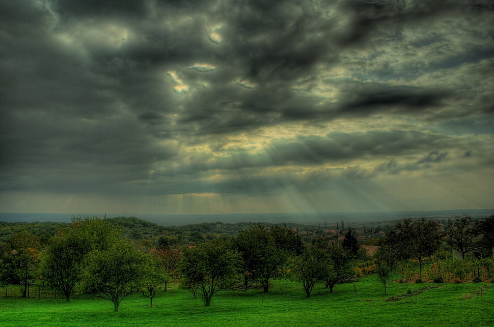 dark clouds with ray of lights HD wallpaper