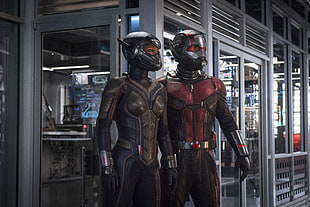 Ant Man, Ant-Man and the Wasp, Paul Rudd, Evangeline Lilly HD wallpaper