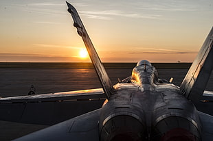 gray fighter jet, aircraft, military aircraft, F/A-18 Hornet HD wallpaper