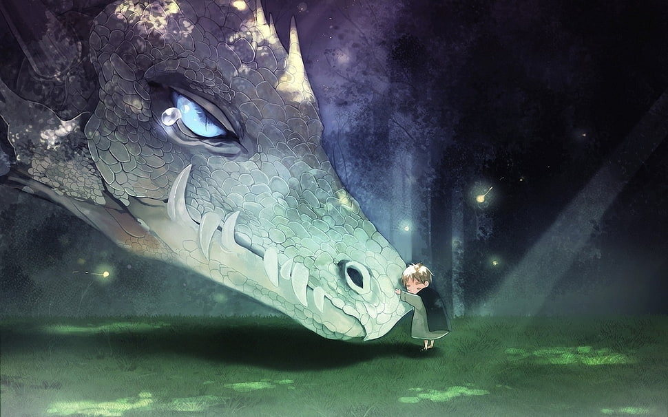 boy in green robe in front of dragon animation HD wallpaper