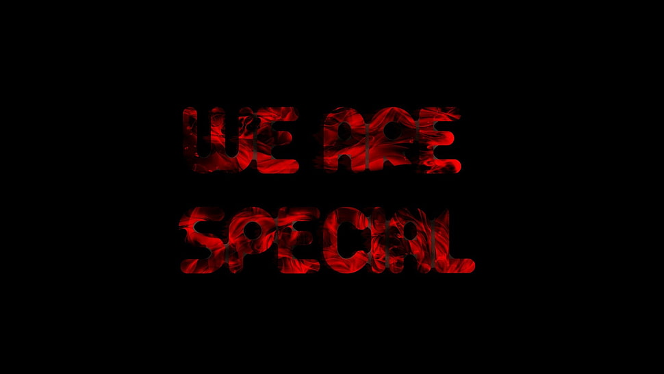 We Are Special, typography HD wallpaper