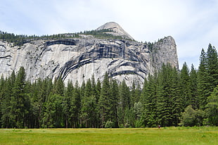 gray rock mountain above green pine trees