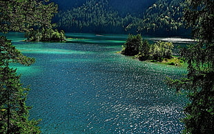 blue water surrounded with trees, landscape, nature, water