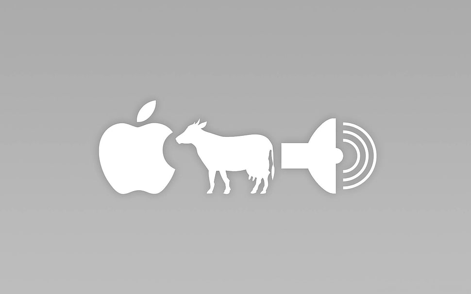white and gray wooden wall decor, minimalism, cow, Apple Inc. HD wallpaper