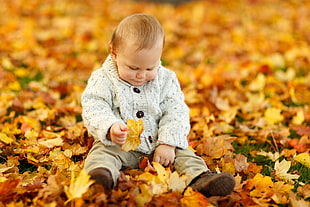 toddler wearing gray button up jacket picking up leaves HD wallpaper