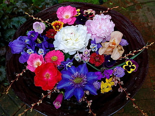 assorted-color flower arrangement HD wallpaper