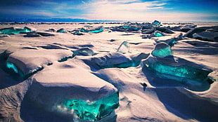 white and green fish painting, landscape, ice HD wallpaper