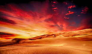 photo of a desert during golden hour HD wallpaper