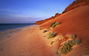 brown and green hill near seashore at daytime
