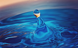 macro photography of water drop