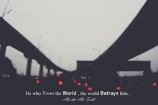 he who trusts the world, the world betrays him text, Ali ibn Abi Talib, Imam, Islam, depth of field HD wallpaper