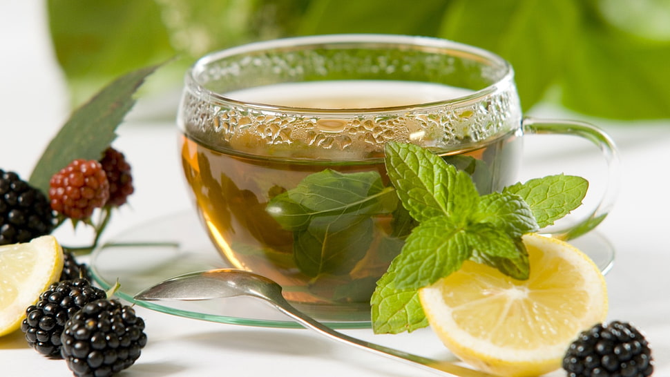 glass teacup beside sliced Orange fruit HD wallpaper