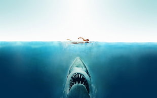 Jaws digital wallpaper, Jaws, movies, shark, split view