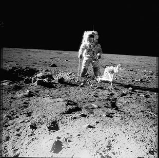 white and black concrete surface, Moon, Apollo, astronaut HD wallpaper