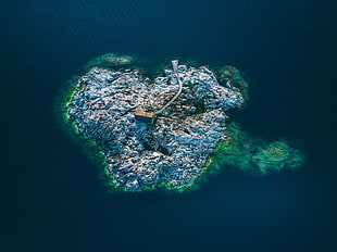grey and green island