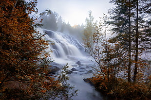 waterfalls, nature, fall, water, waterfall HD wallpaper
