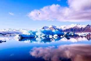 iceberg near body of water under blue sky during daytime HD wallpaper
