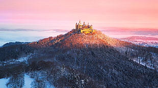 brown castle, nature, forest, mountains, Burg Hohenzollern