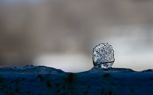 water dew, ice, nature
