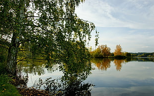 body of water surrounded by trees under blue calm sky