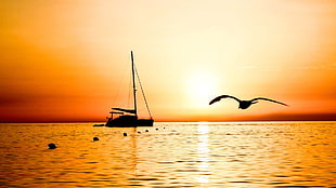 silhouette of bird flying and boat on body of water