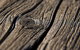close up photography of brown wood