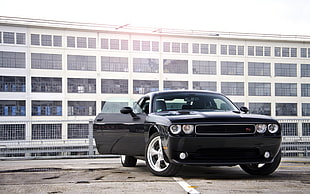 black Dodge Challenger coupe, Dodge Challenger, car