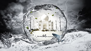 Taj Mahal, Photoshop, leaves, storm