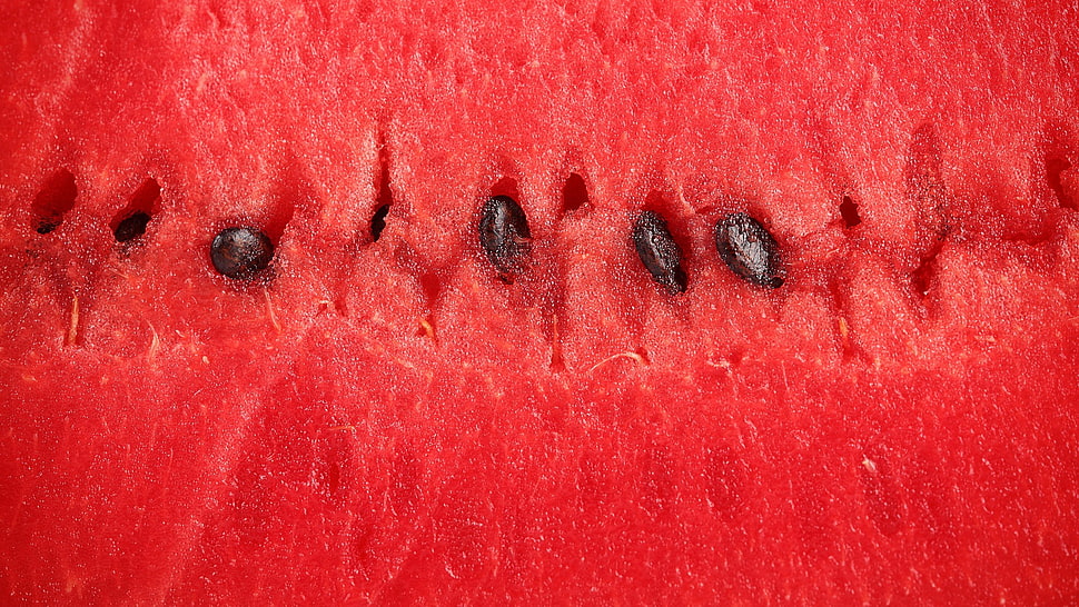 red, watermelons, fruit HD wallpaper