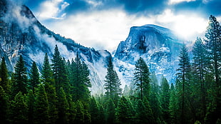 green trees and snow mountain, landscape, mountains, nature