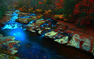 body of water painting, forest, stream, fall, rock