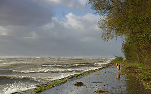 body of water near shore, sea, nature, water, storm