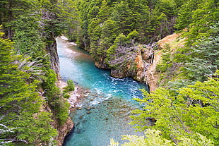 blue stream, nature, landscape, river, forest HD wallpaper
